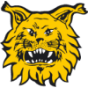 Ilves